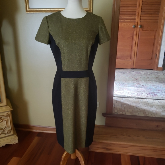 Carolina Herrera Dresses & Skirts - CAROLINA HERRERA OLIVE & BLACK PANELED SHEATH